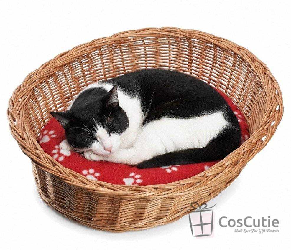 Cos rachita pentru pisici 50x35 cm