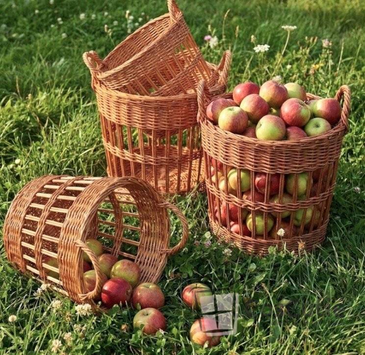 Cos din rachita cu manere pentru depozitare si expunere, 40x45 cm