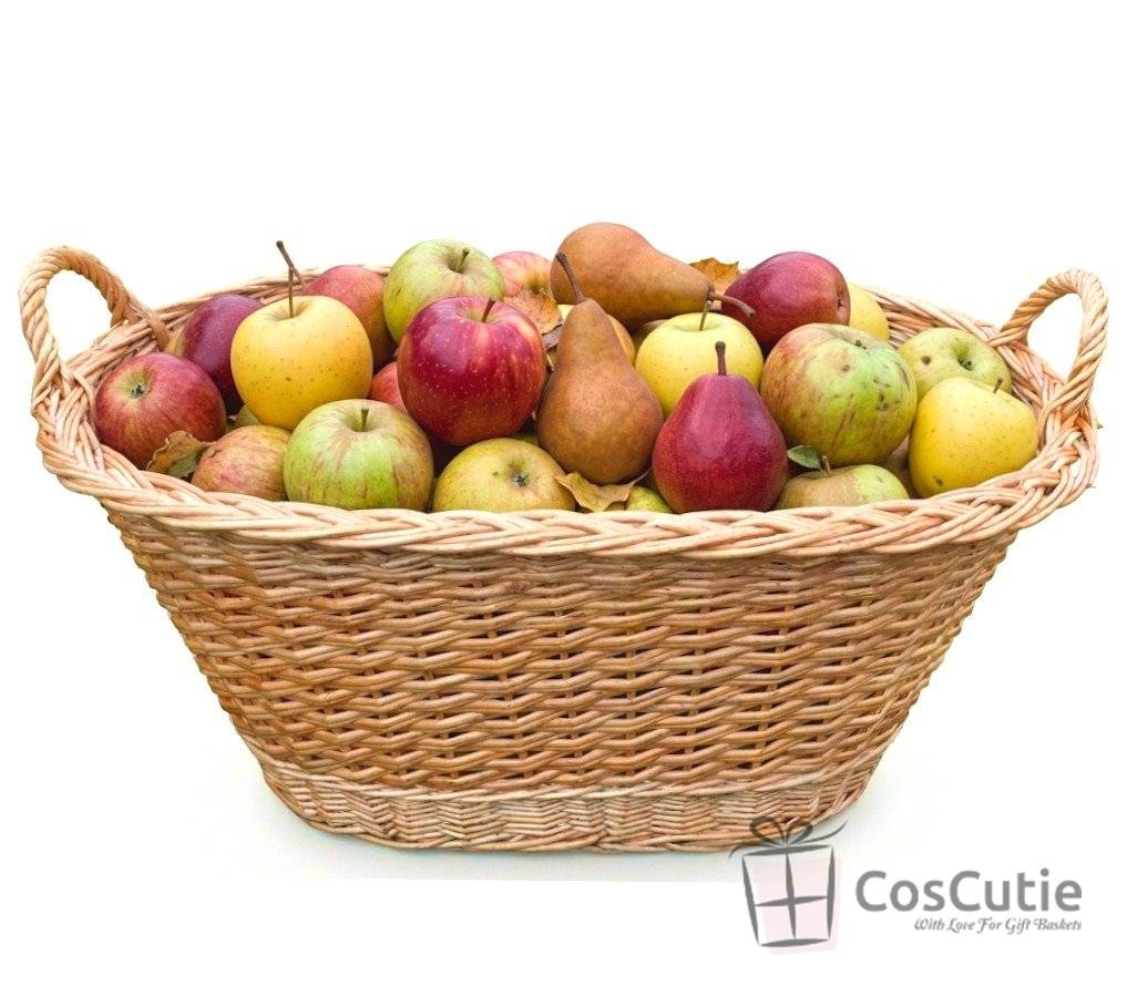 Cos oval mare din rachita cu manere laterale, 60x30 cm