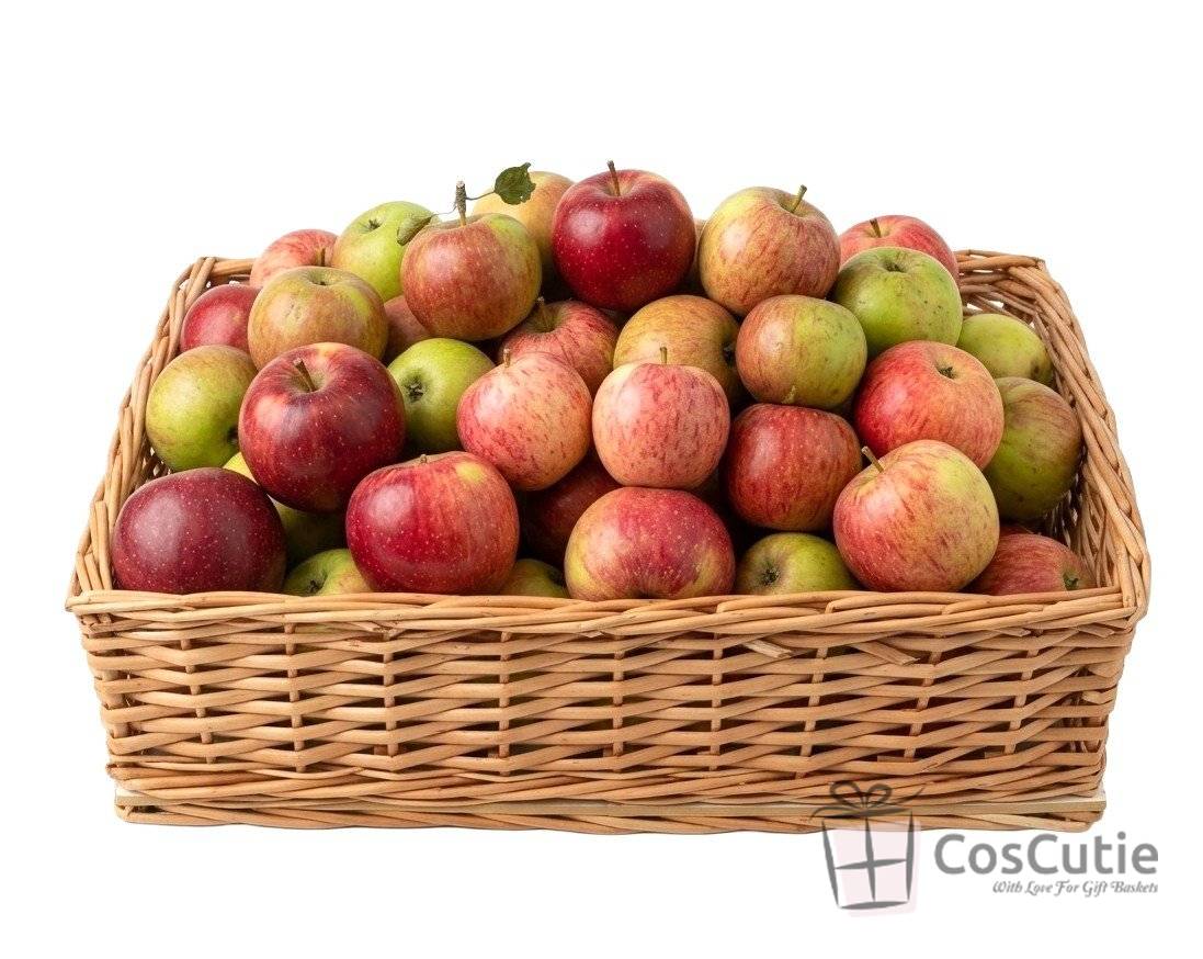 Ladita rachita cu baza placaj 45x30x10cm