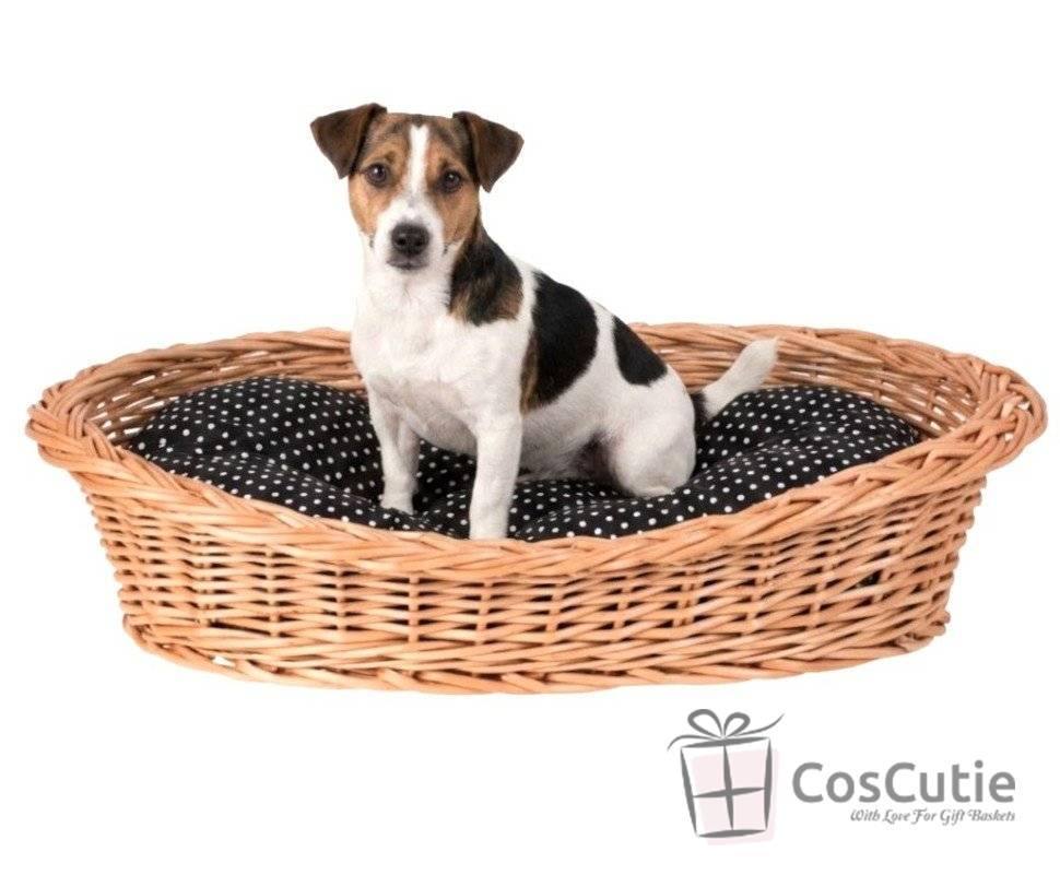 Pat oval din rachita pentru caini 70x50 cm 