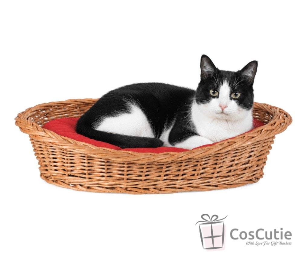 Pat oval din rachita pentru pisici si caini mici 60x45 cm 