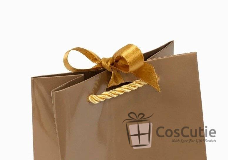 Punga cadou Premium, 13x22x8 cm, diverse culori