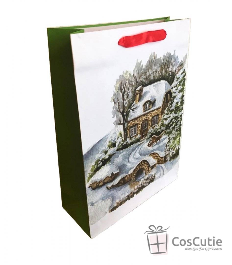 Punga cadou sarbatori iarna, 26x32x12 cm