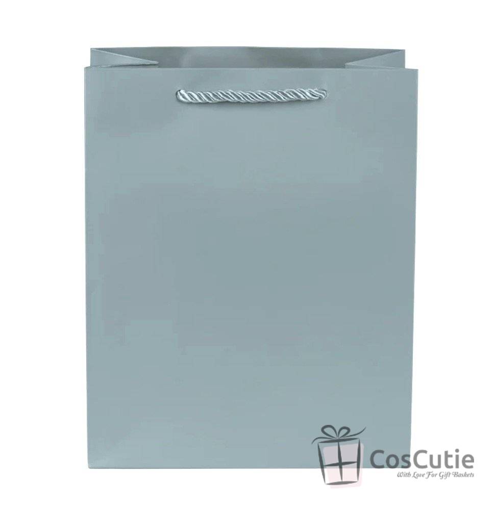 Punga cadou Silver Premium, 18x23x10 cm