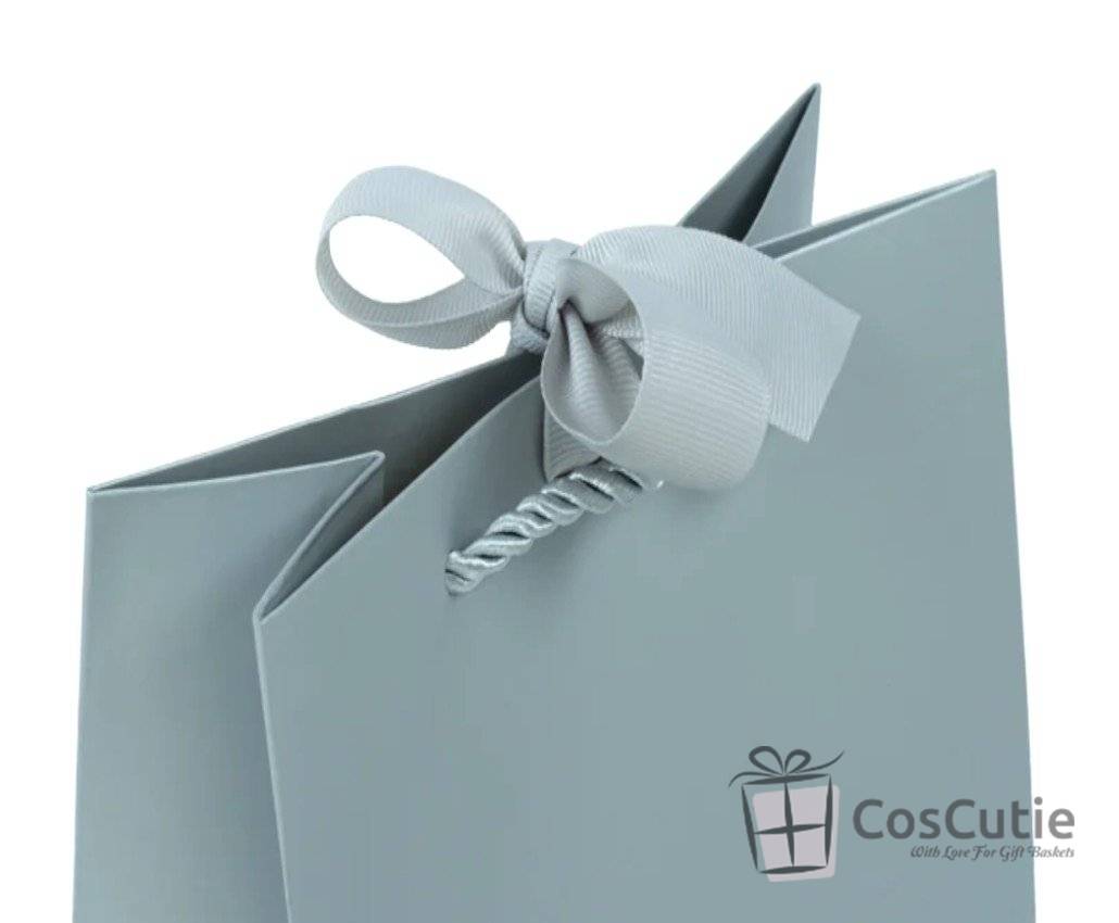 Punga cadou Silver Premium, 18x23x10 cm