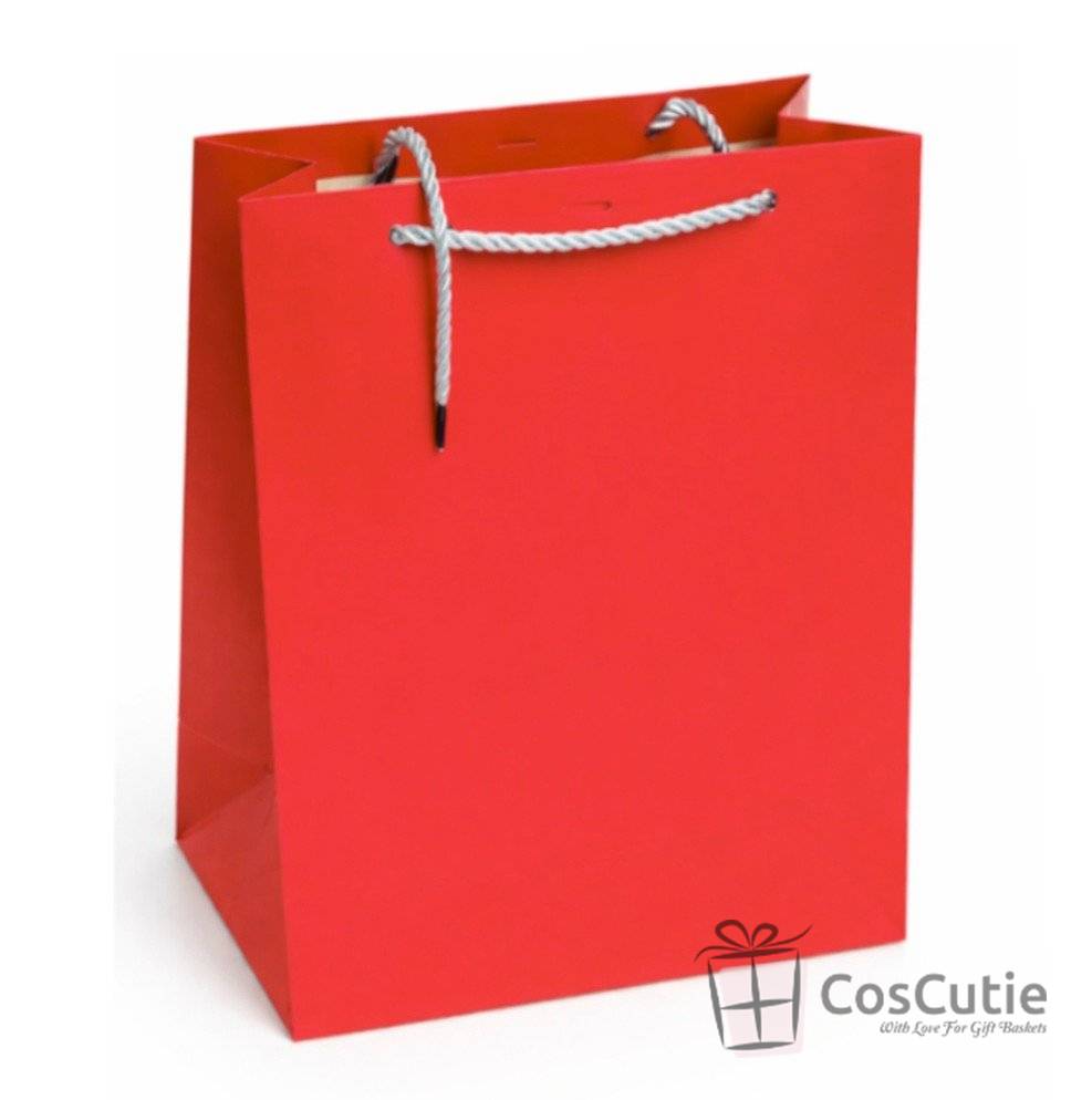 Pungi cadou 18x23x10 cm, culori asortate