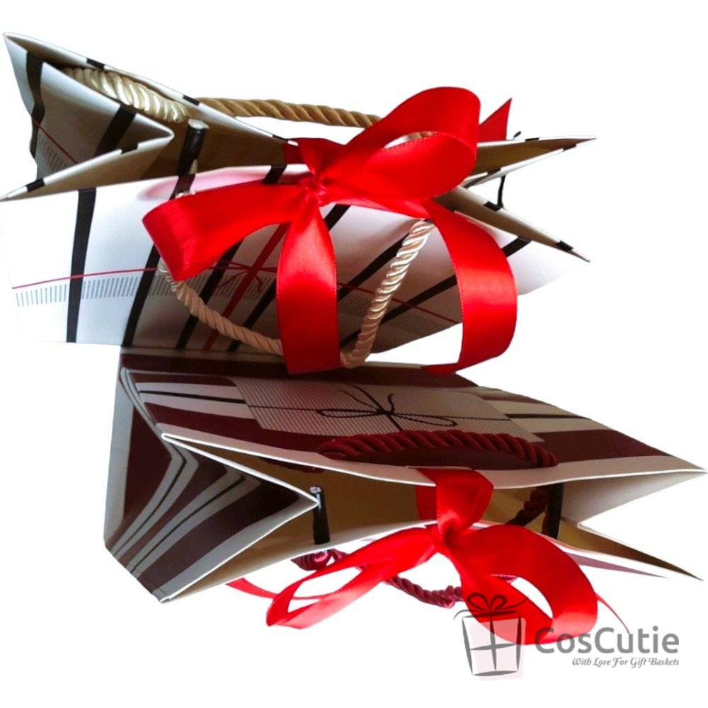 Punga cadou gama Chic, carton rezistent 425g, 18x23x10 cm