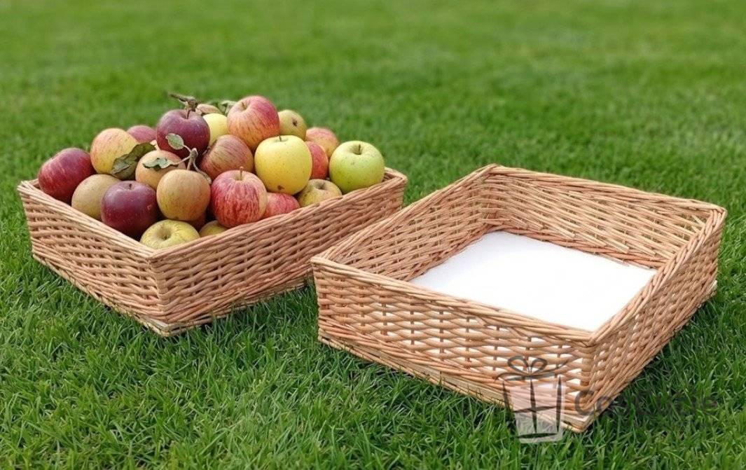 Tava rachita cu baza placaj 50x30x10cm