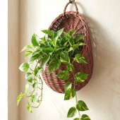 Cos de Perete din Rachita, Culoare Mahon, Suport Suspendat Rustic