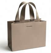 Punga cadou Lux Golden Taupe 20x25x11 cm, carton plastifiat 250 g/mp Soft Touch