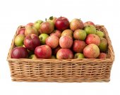 Tava rachita cu baza placaj 45x35x10cm